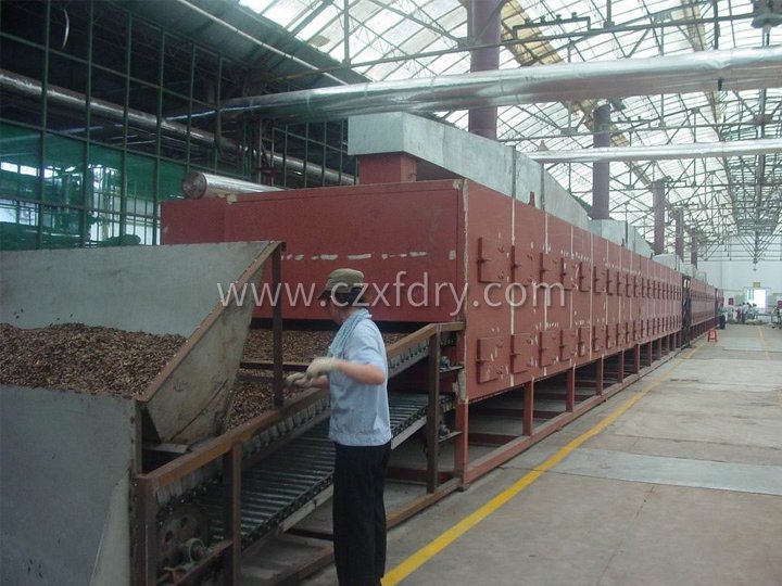 Dehydrated vegetable belt dryer